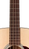 Neck